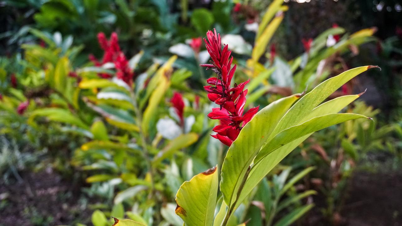 Pousada Das Garcas Saquarema Exteriér fotografie